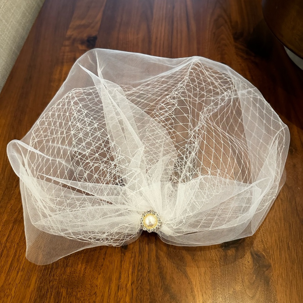 Bridal Birdcage Veil